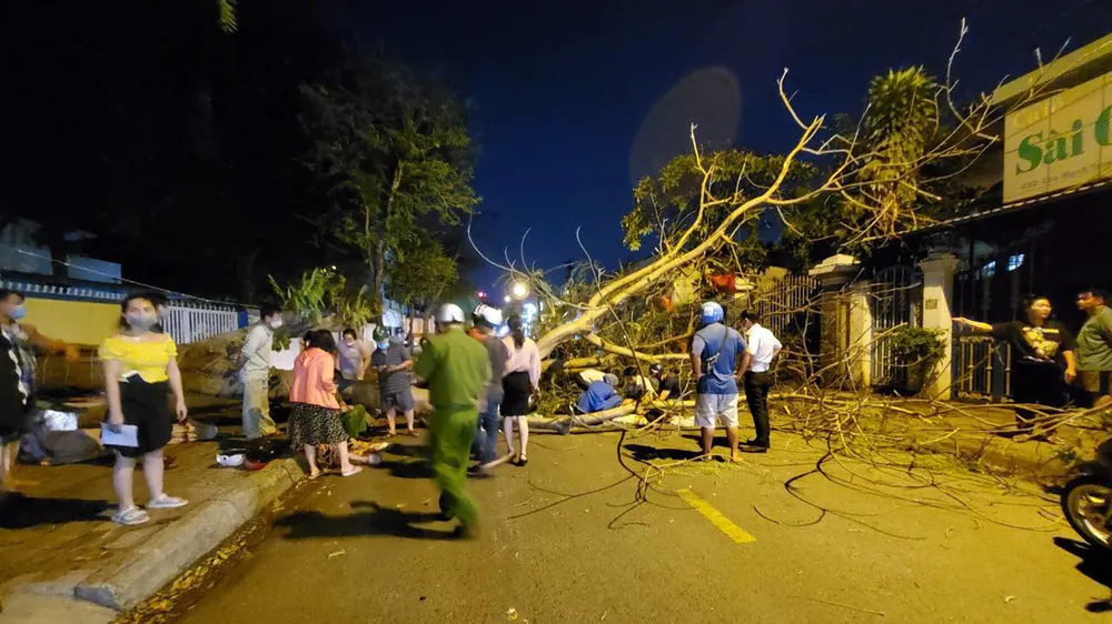 Cây xanh bật gốc đè 2 mẹ con ở TP Thủ Đức ảnh 2