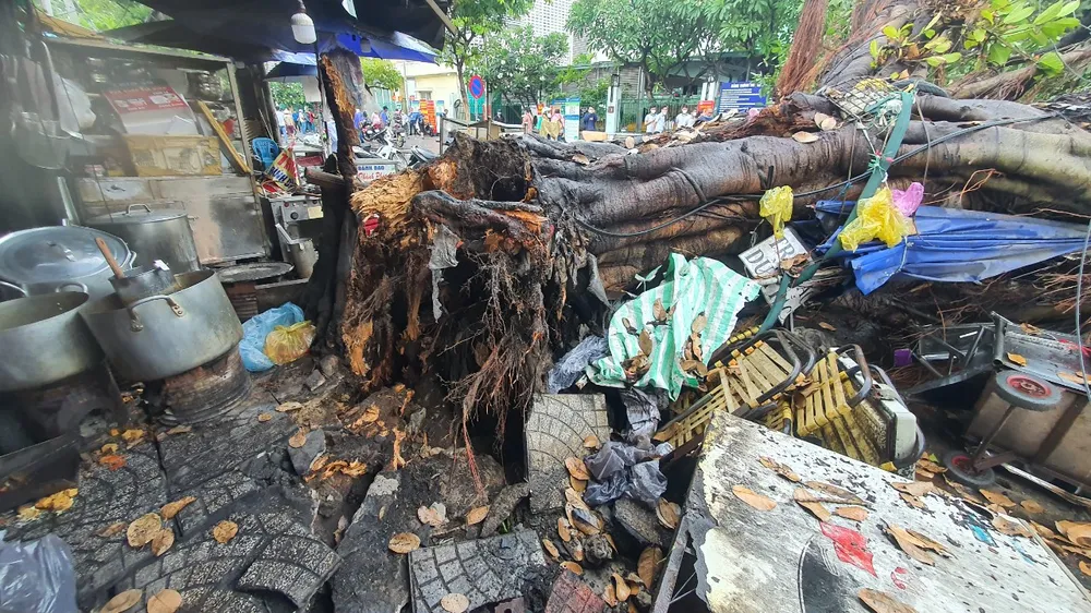 Cây cổ thụ bật gốc trong mưa, đè ô tô và hàng quán  ảnh 1