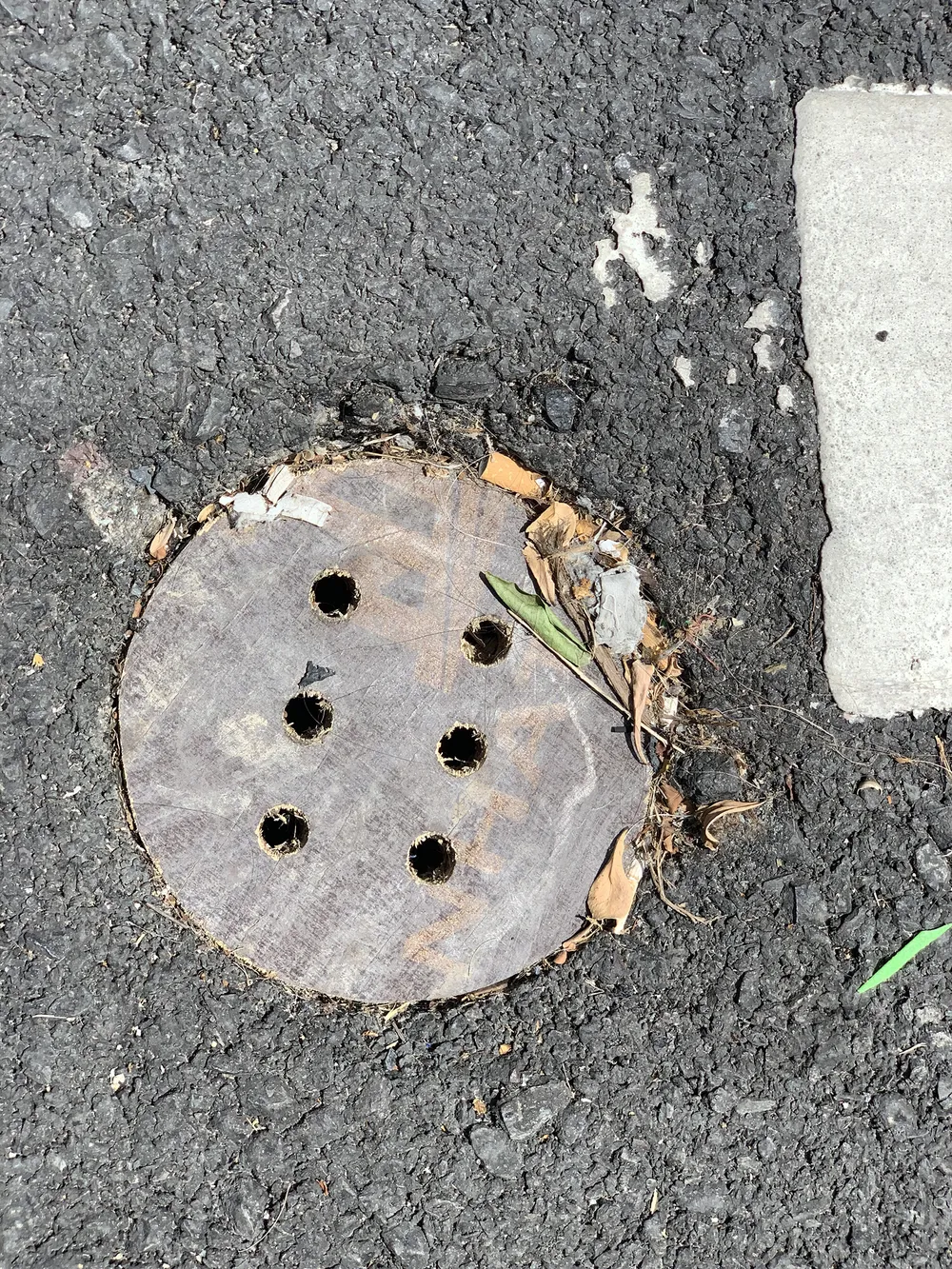 Bắt đối tượng trộm nắp cống trên cầu Thủ Thiêm 2 ảnh 1