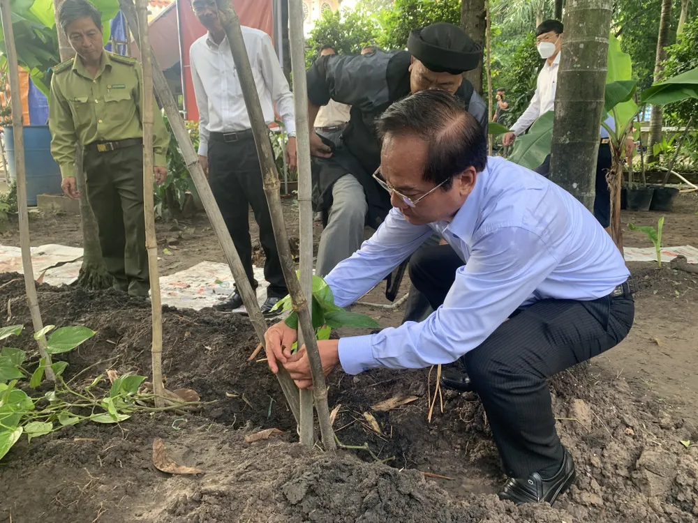 Các quận, huyện phát động “Tết trồng cây đời đời nhớ ơn Bác Hồ” ảnh 3