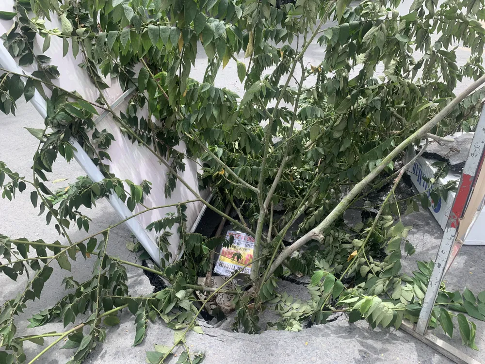 “Hố tử thần” xuất hiện giữa giao lộ tại TP Thủ Đức ảnh 4