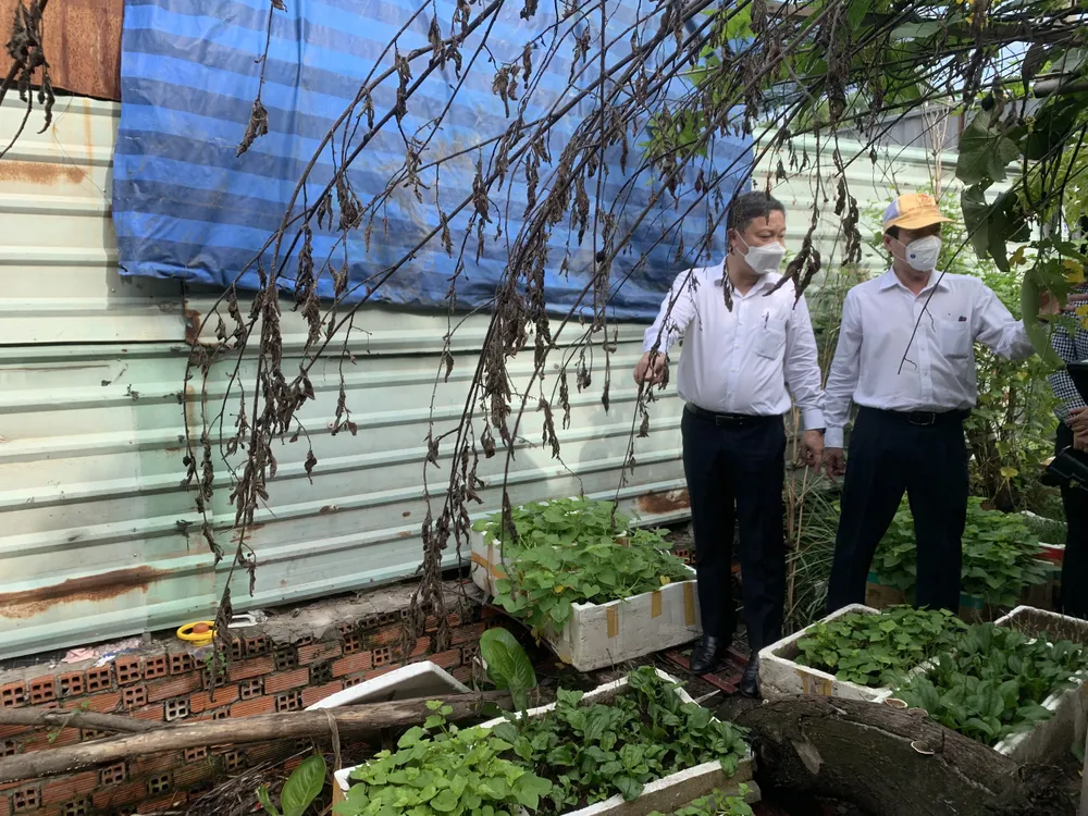 TPHCM phát động chiến dịch phòng chống sốt xuất huyết ảnh 9