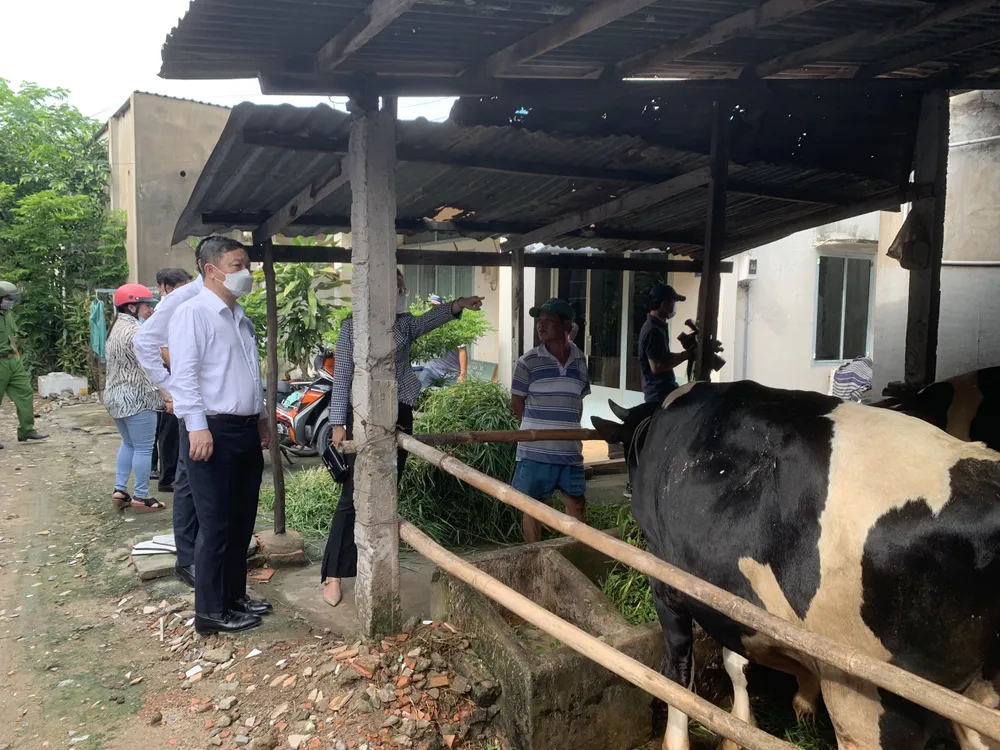 TPHCM phát động chiến dịch phòng chống sốt xuất huyết ảnh 7