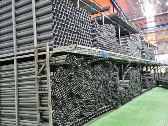 Truy nã nữ Giám đốc Công ty TNHH Lý Hứa Kỳ ảnh 1