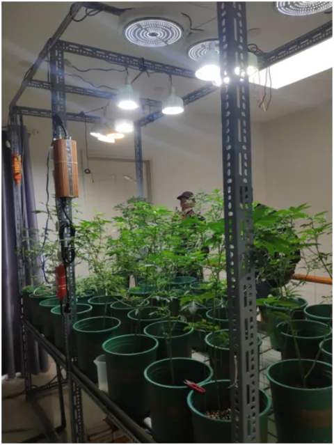 Công an TPHCM thu giữ hơn 100kg ma túy cùng súng đạn trong tháng 6 ảnh 3