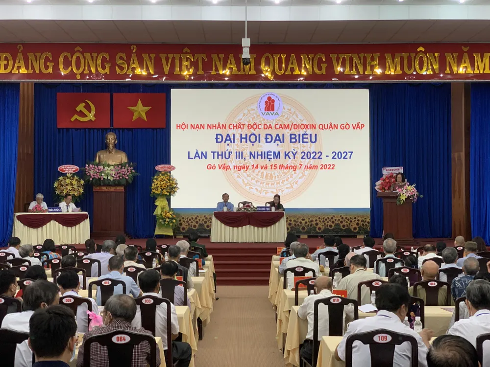 Chăm lo nạn nhân chất độc da cam/dioxin ảnh 1