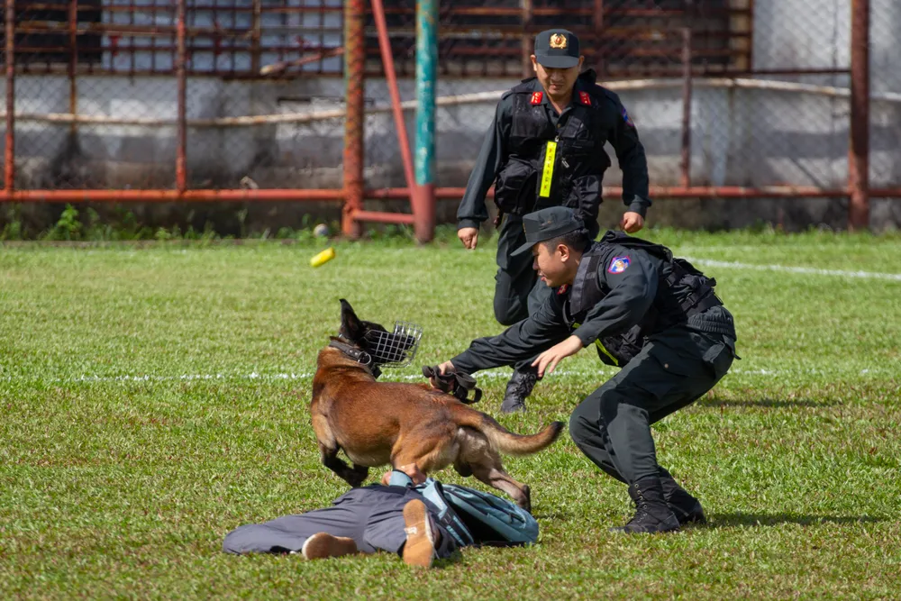 Ra mắt Trung đoàn Cảnh sát cơ động dự bị chiến đấu thuộc Công an TPHCM ảnh 21