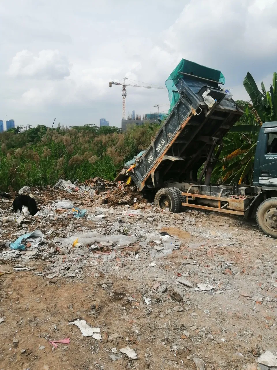 Bắt quả tang xe tải đổ chất thải dưới cầu Thủ Thiêm ảnh 4