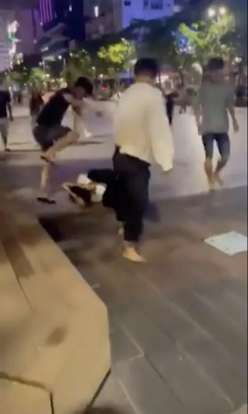 Tạm giữ 7 người bán hàng rong đánh 2 thanh niên ở phố đi bộ Nguyễn Huệ ảnh 2