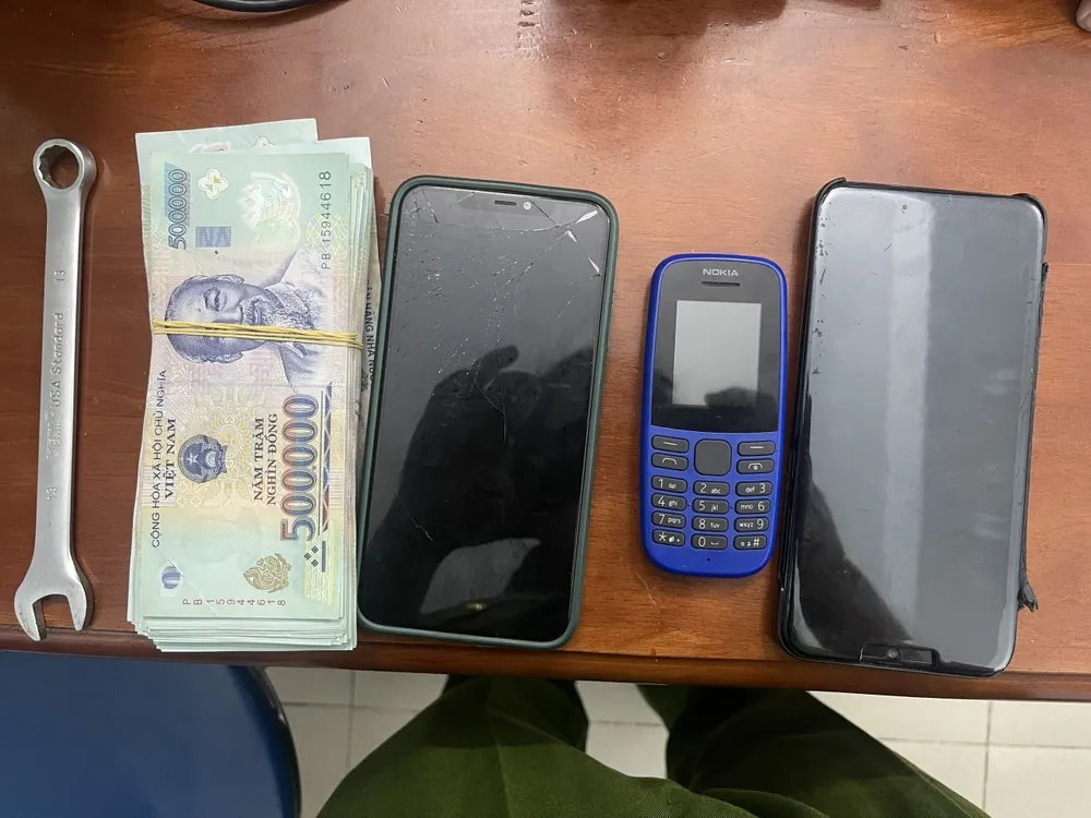 Triệt phá băng nhóm trộm cắp tài sản  ảnh 2