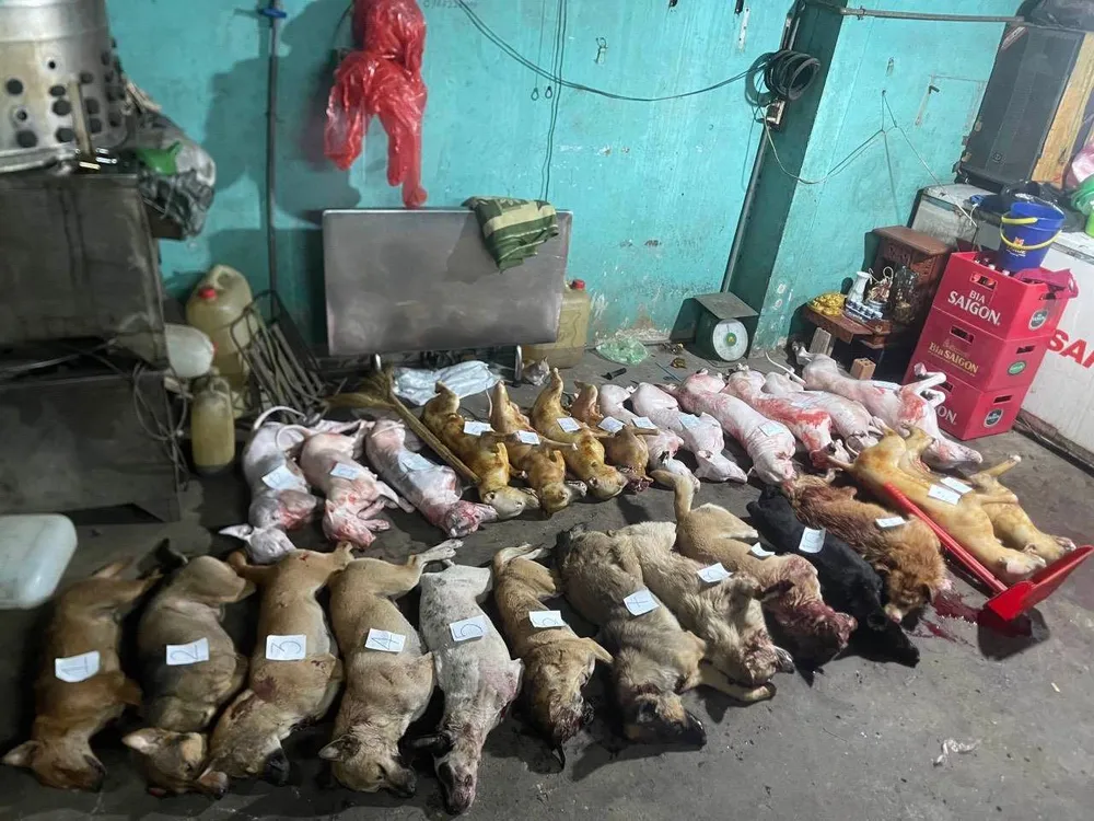 Tang vật thu giữ