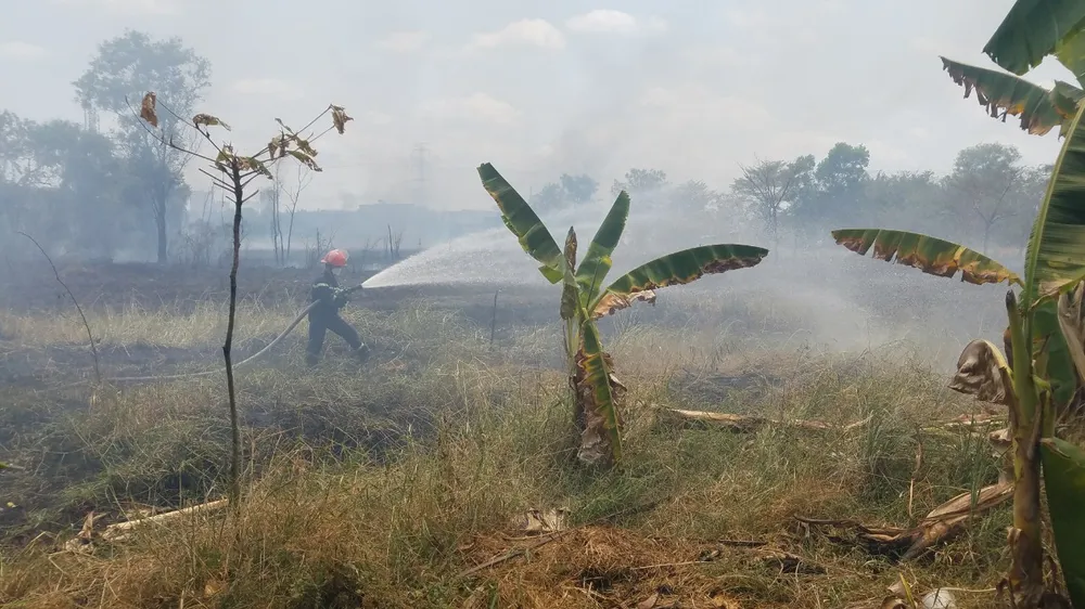 Lực lượng chức năng chữa cháy tại hiện trường
