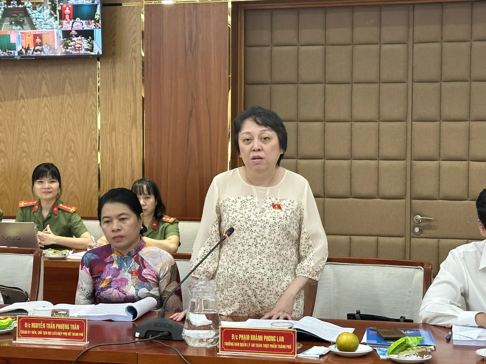 Bà Phạm Khánh Phong Lan phát biểu tại hội thảo. Ảnh: CHÍ THẠCH