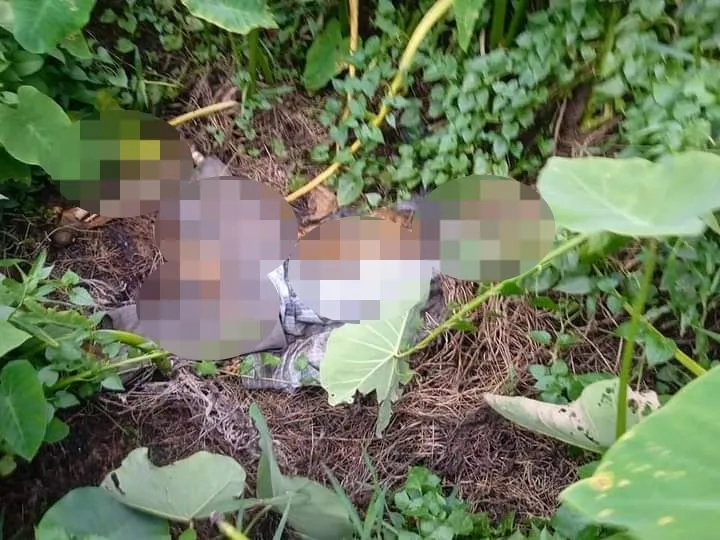 Hiện trường vụ việc Hiện trường vụ việc