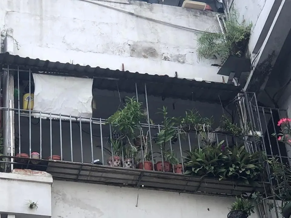 Người dân được cơ quan chức năng tuyên truyền tháo dỡ "chuồng cọp"