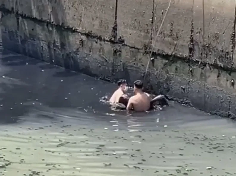 Hình ảnh vụ việc cắt từ clip