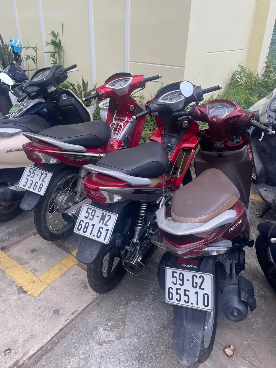 Tang vật thu giữ