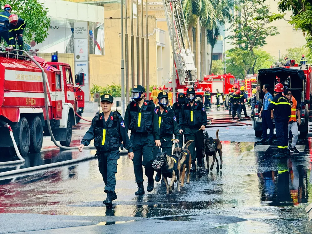 Chó nghiệp vụ được huy động để tìm kiếm người bị mắc kẹt Chó nghiệp vụ được huy động để tìm kiếm người bị mắc kẹt