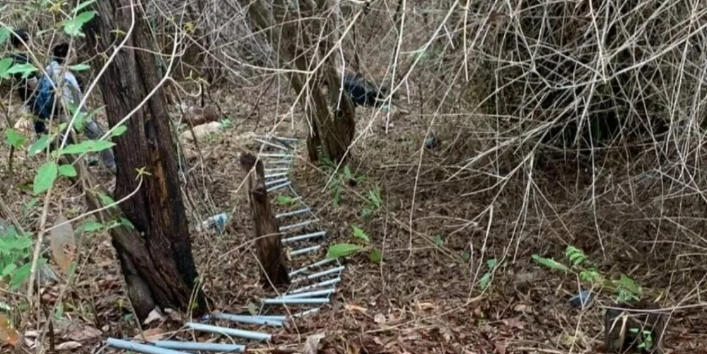 Hiện trường.jpeg