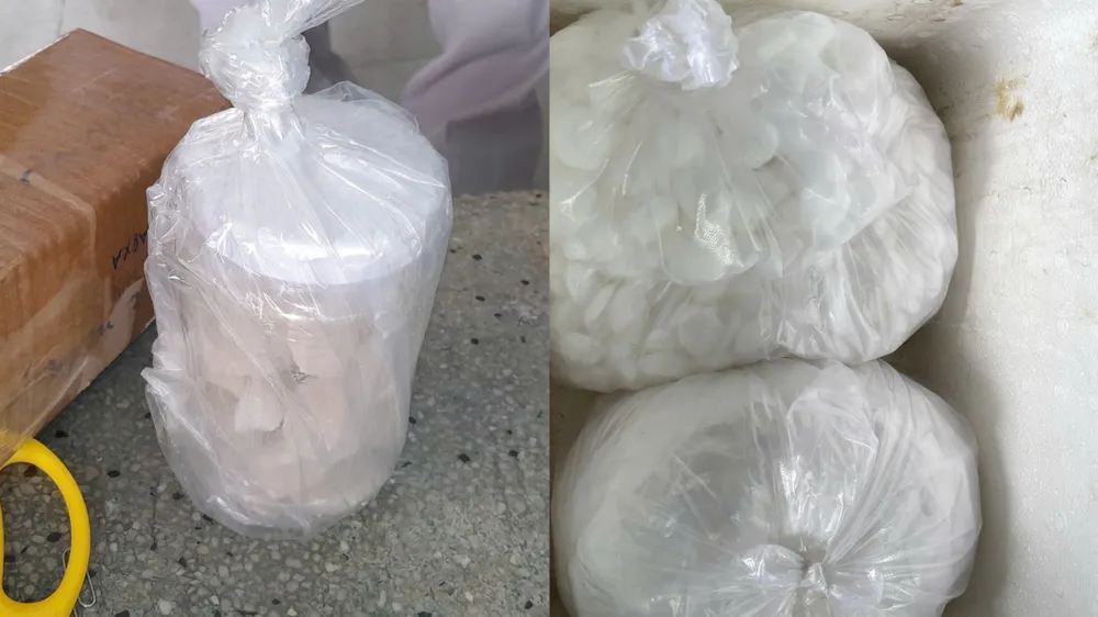 Ảnh 7 - Tang vật.jpg