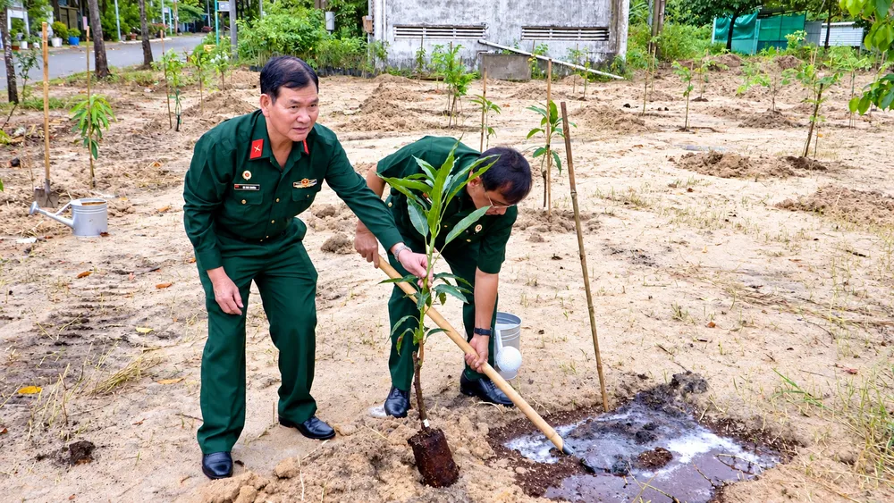 Trồng cây xanh trong khu đất cát.png