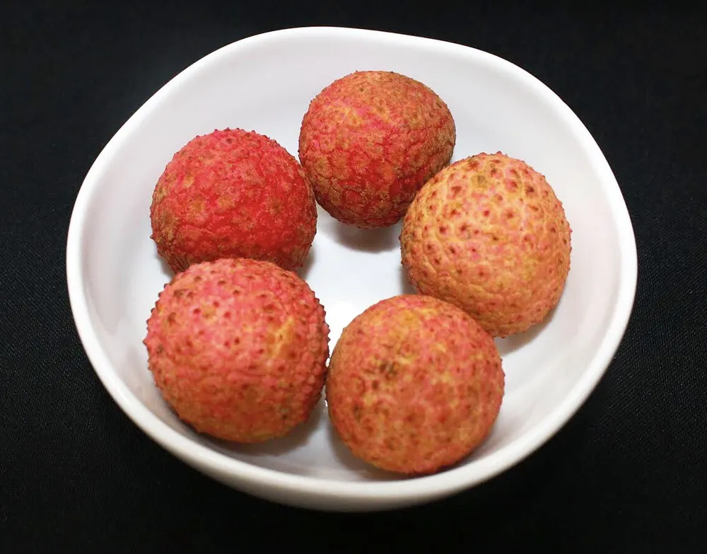 Vietnam Airlines mang vải thiều lên suất ăn máy bay ảnh 2