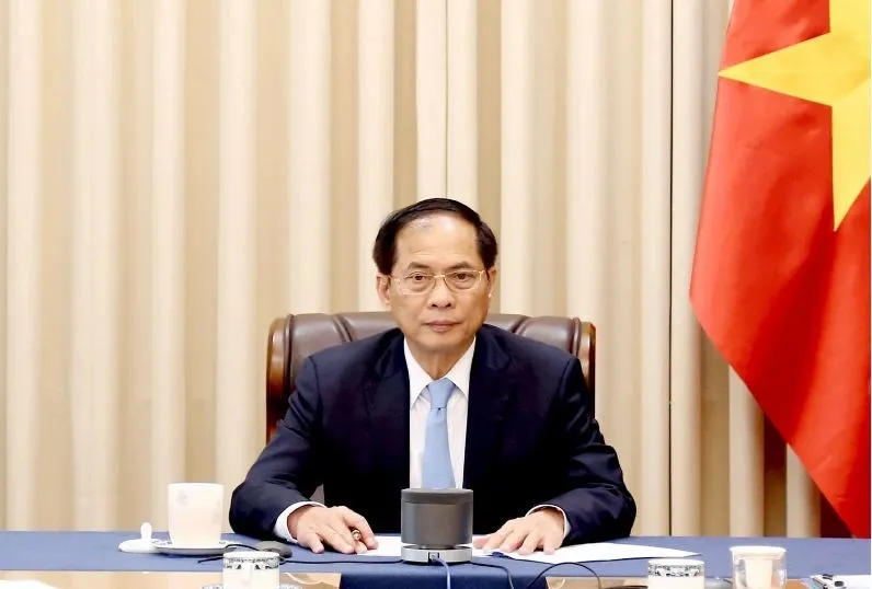 Phó Thủ tướng, Bộ trưởng Bộ Ngoại giao Bùi Thanh Sơn