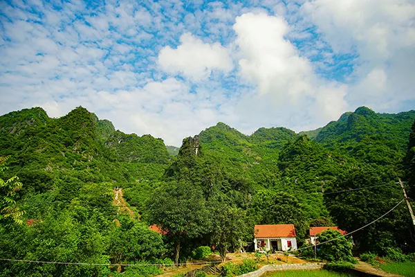 Mùa na trên núi Mặt Quỷ ảnh 1