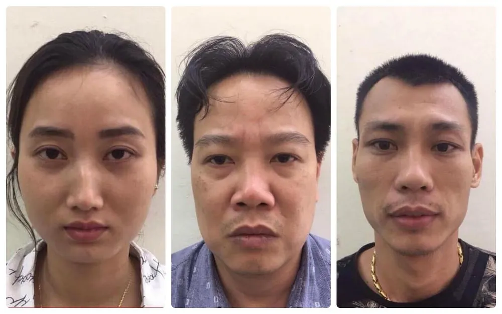 Phá ổ nhóm đẻ thuê giá 550 triệu/trường hợp ảnh 1