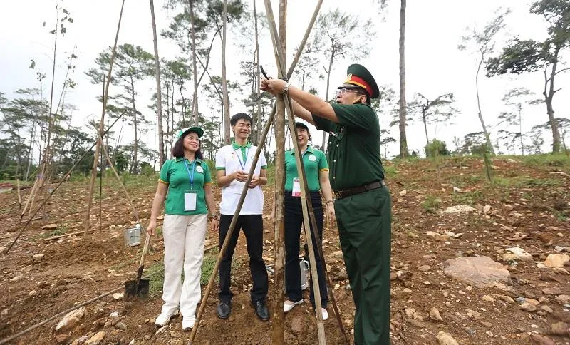 Thực hiện di chúc lời Bác dạy, Khu di tích K9 trồng hàng trăm cây Chò ảnh 2