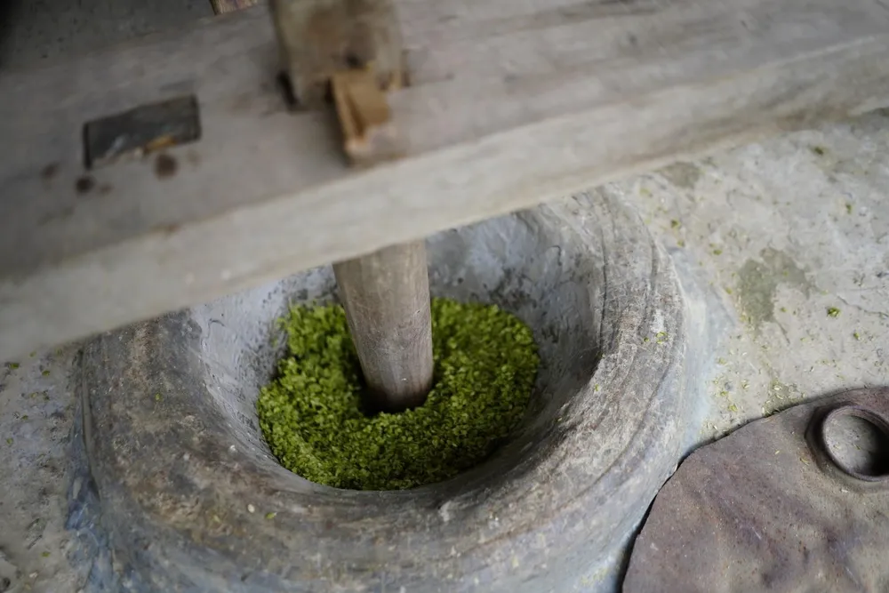 Say sưa cốm Tú Lệ ảnh 4