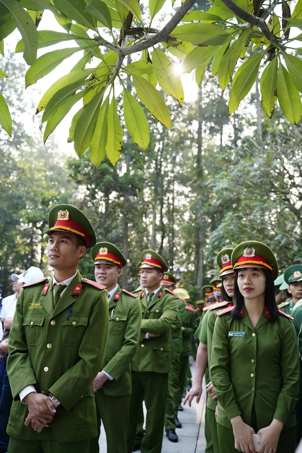  Phủ xanh 2.000 cây Thông Mã Vĩ trên đồi cây “Dâng Bác – Ơn Thầy” ảnh 5