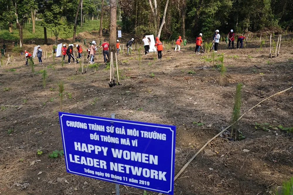  Phủ xanh 2.000 cây Thông Mã Vĩ trên đồi cây “Dâng Bác – Ơn Thầy” ảnh 7