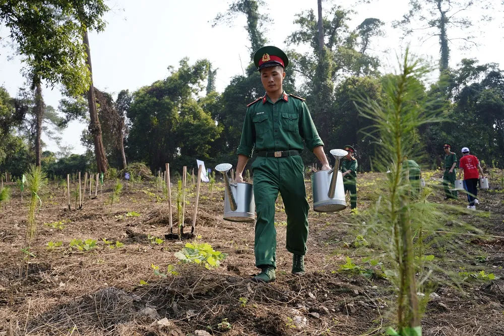  Phủ xanh 2.000 cây Thông Mã Vĩ trên đồi cây “Dâng Bác – Ơn Thầy” ảnh 10