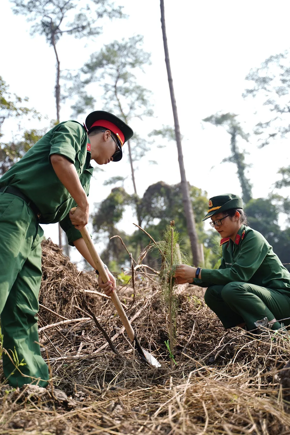  Phủ xanh 2.000 cây Thông Mã Vĩ trên đồi cây “Dâng Bác – Ơn Thầy” ảnh 12