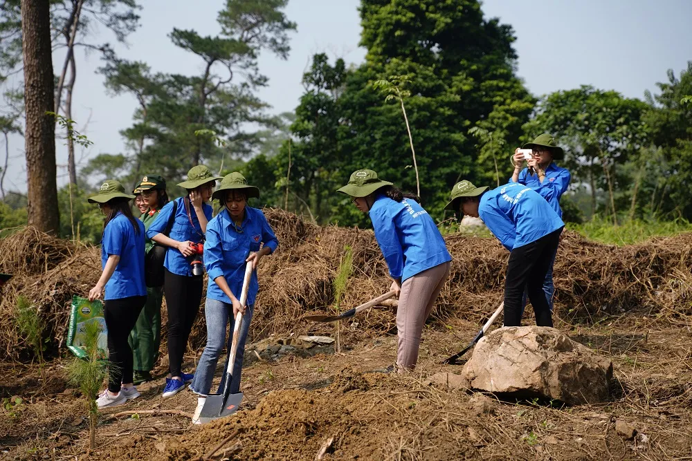  Phủ xanh 2.000 cây Thông Mã Vĩ trên đồi cây “Dâng Bác – Ơn Thầy” ảnh 18