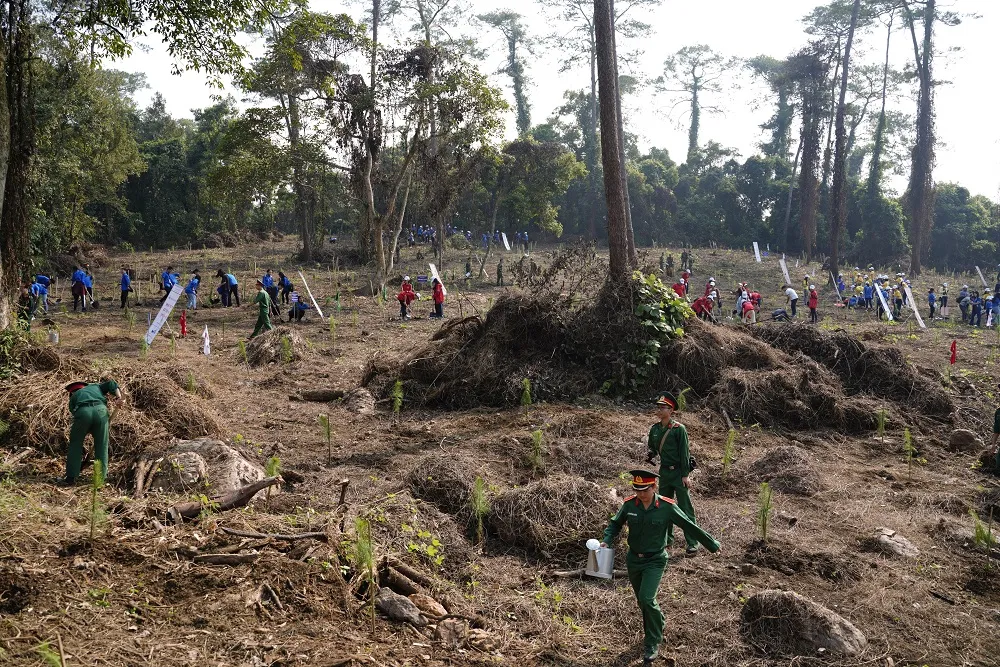  Phủ xanh 2.000 cây Thông Mã Vĩ trên đồi cây “Dâng Bác – Ơn Thầy” ảnh 8