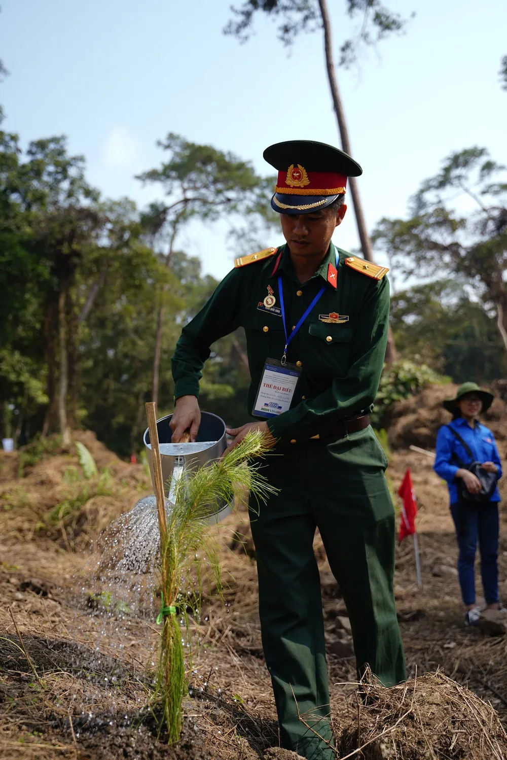  Phủ xanh 2.000 cây Thông Mã Vĩ trên đồi cây “Dâng Bác – Ơn Thầy” ảnh 15