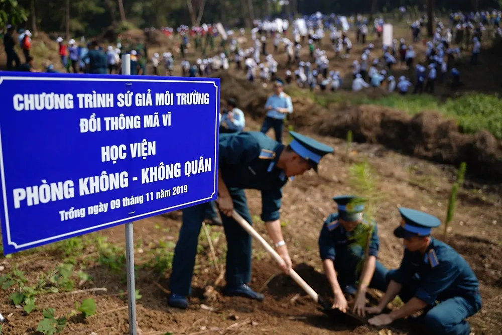  Phủ xanh 2.000 cây Thông Mã Vĩ trên đồi cây “Dâng Bác – Ơn Thầy” ảnh 16