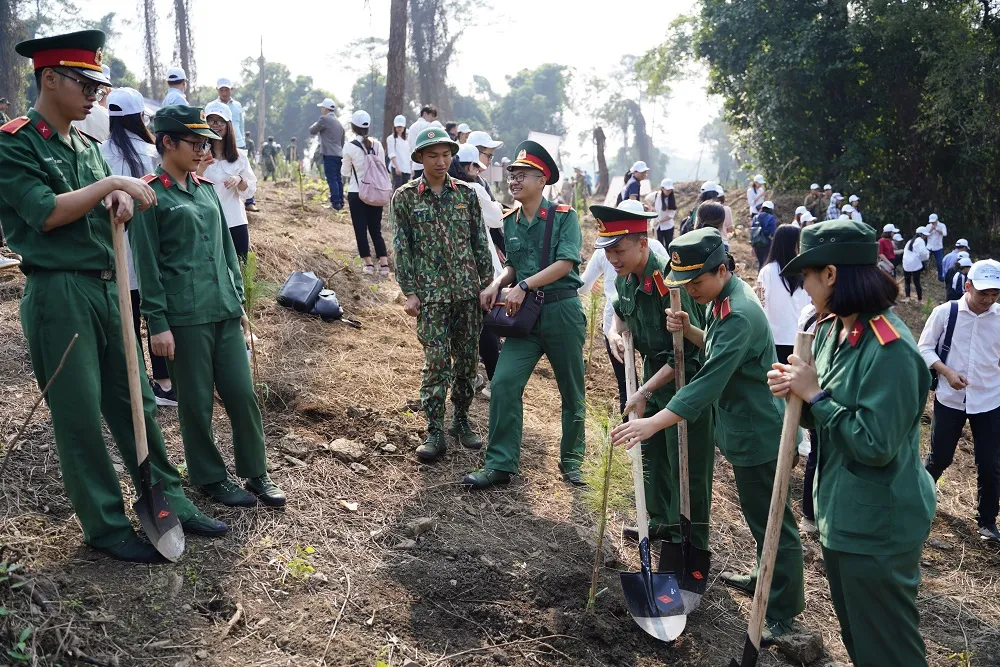 Phủ xanh 2.000 cây Thông Mã Vĩ trên đồi cây “Dâng Bác – Ơn Thầy” ảnh 9