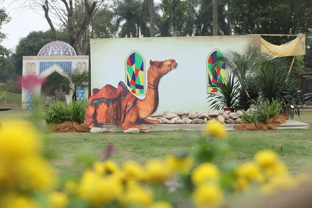 Dịp Tết thưởng thức “Bản giao hưởng mùa xuân” lung linh tại Ecopark ảnh 5