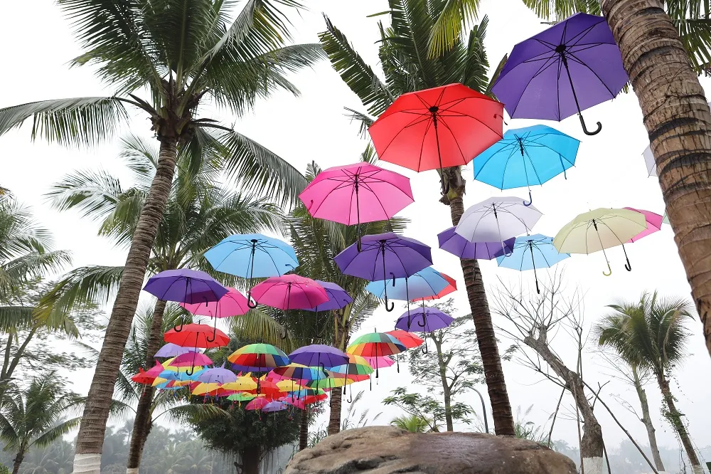 Dịp Tết thưởng thức “Bản giao hưởng mùa xuân” lung linh tại Ecopark ảnh 11