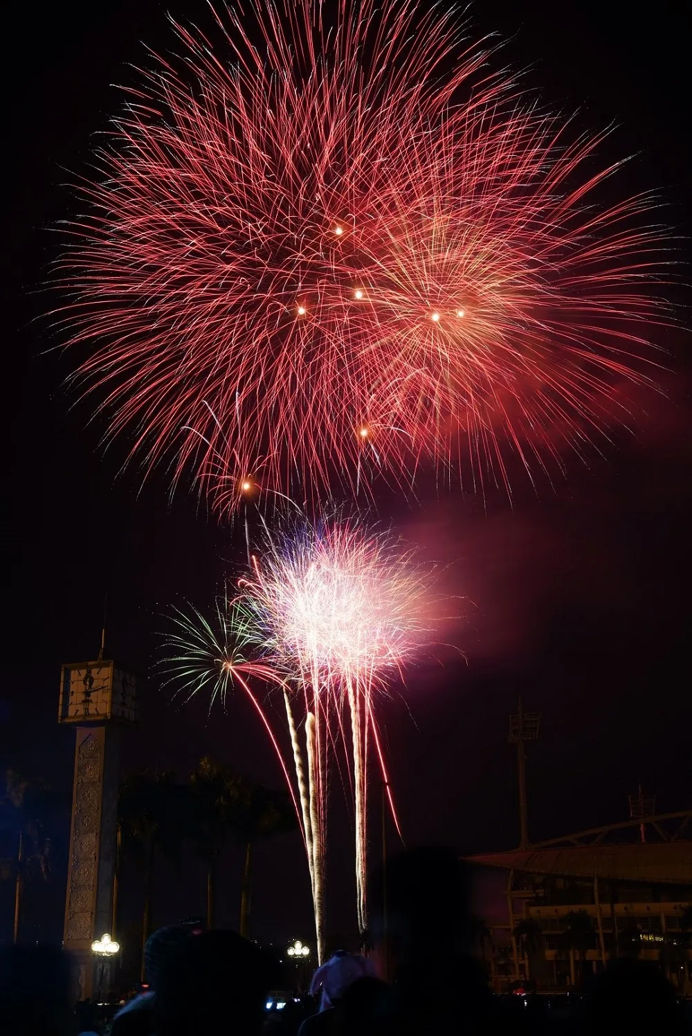 Mãn nhãn với màn pháo hoa chào đón năm mới tại Hà Nội ảnh 12