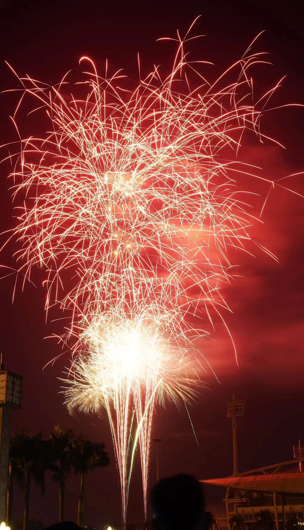 Mãn nhãn với màn pháo hoa chào đón năm mới tại Hà Nội ảnh 13