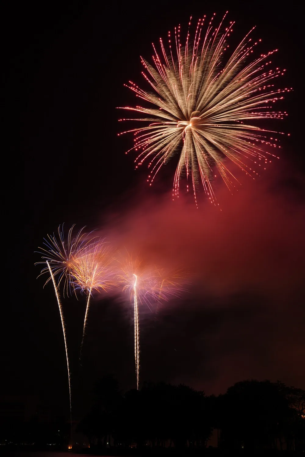 Màn pháo hoa tầm cao chào năm mới duy nhất ở Hà Nội ảnh 13