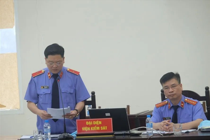 Mức án đề nghị đối với 14 bị cáo trong vụ án Công ty Nhật Cường ảnh 1