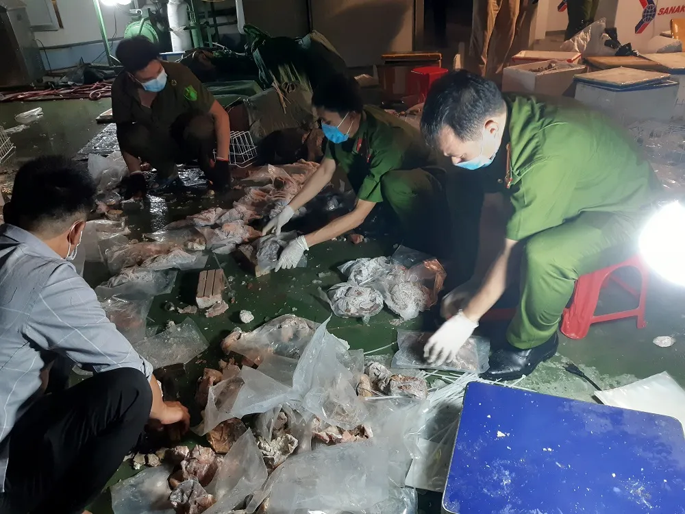 Giấu ma túy trong dạ dày heo ảnh 1