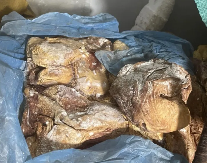 Phát hiện gần 10 tấn thực phẩm mốc, bốc mùi ảnh 1