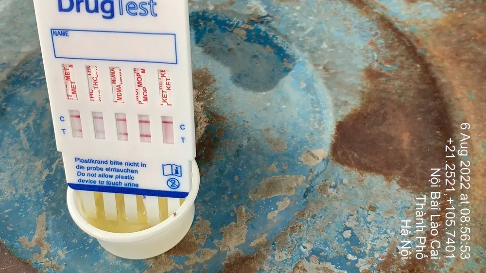 Liên tiếp phát hiện tài xế dương tính với ma túy trên Cao tốc Nội Bài – Lào Cai ảnh 1