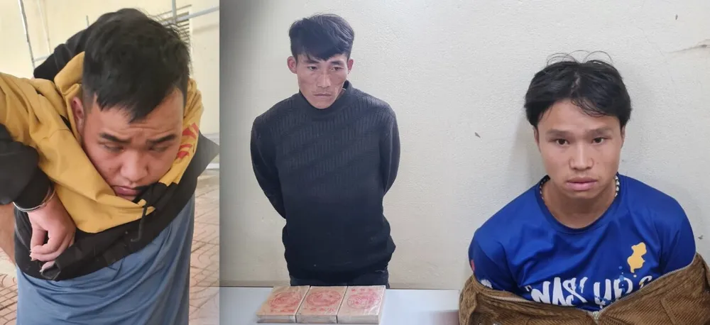 Liên tiếp phát hiện 3 vụ mua, bán, vận chuyển trái phép chất ma tuý ảnh 1